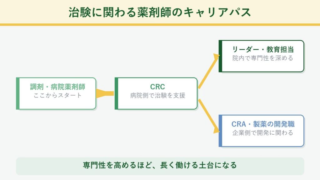 治験業界への転職を進める5ステップ(職種を絞る・経歴の棚卸し・書類作成・面接対策・内定)を示した図