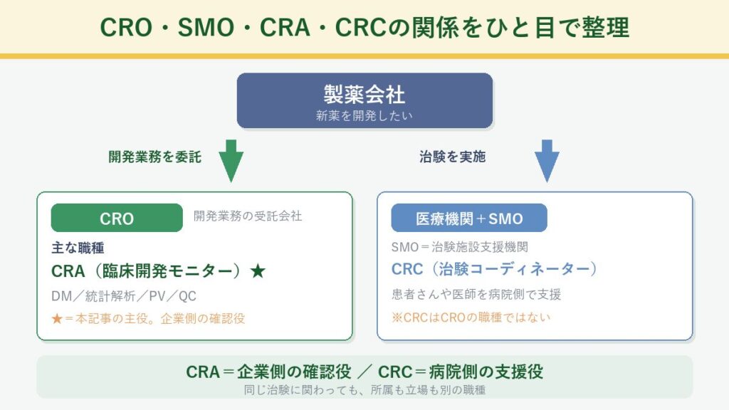 CRO・SMO・CRA・CRCの関係図:CRAは企業側(CRO)、CRCは病院側(SMO)の職種