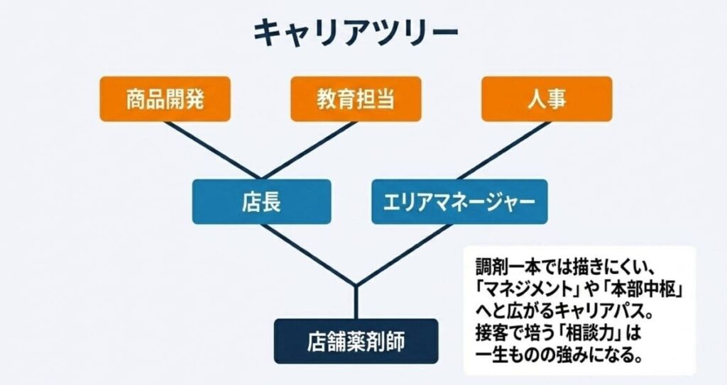 ドラッグストア薬剤師のキャリアパスと将来性